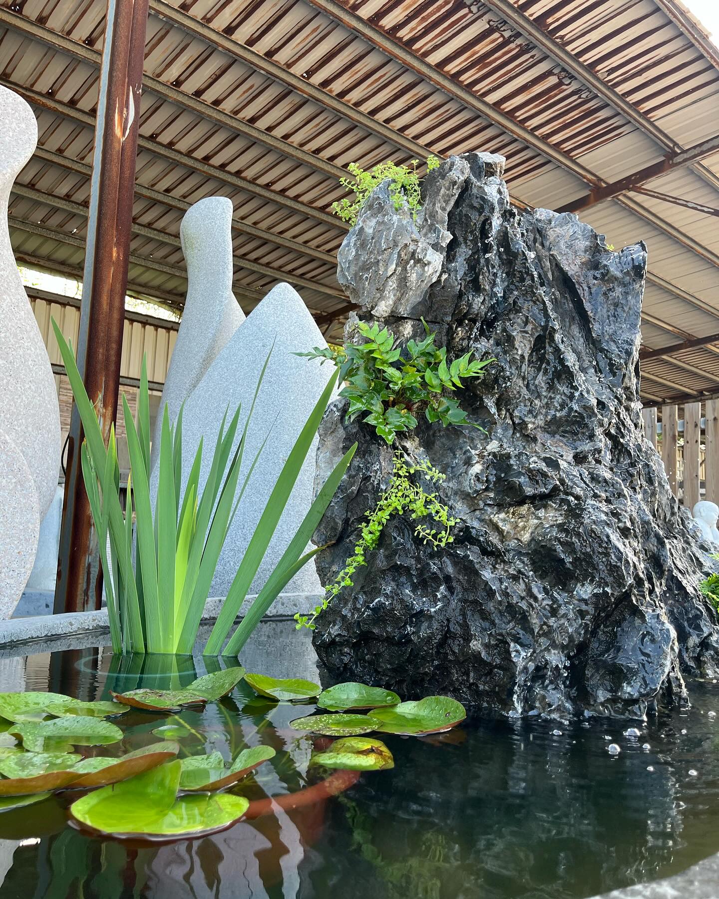 黑奇石+大水缸 造景